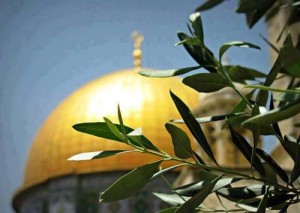 صور مميزة لقبة الصخرة