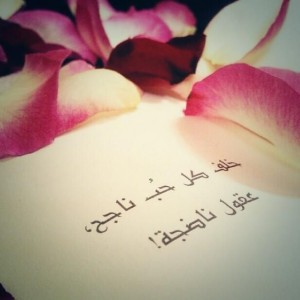 صور حكم عن نجاح الحب في الحياة