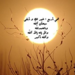 صور اجمل الكلمات في الحياة