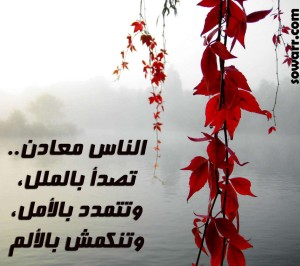 حكم عن الناس