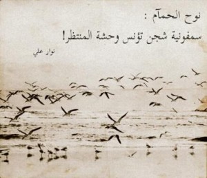صور حزينة عن نوح الحمام