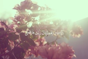 صور ايات قرانية عن القناعة و الرضا