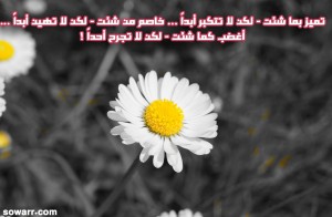 صور اجمل كلمات نصائح الحياة موقع صور