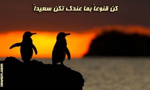 صور كلمات عن القناعة