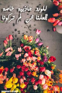 صور كلمات و خواطر عن الورد و الحب