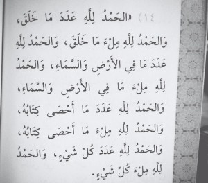 صور رائعة مكتوب عليها الحمد لله عدد ما خلق