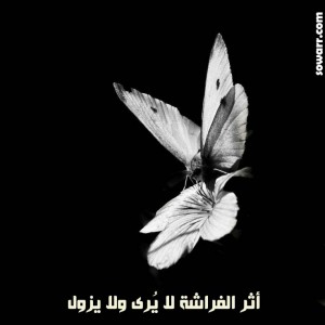 مقبس من أثر الفراشه