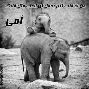 صور عن حب قلب الأم