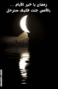 صور عن رحيل رمضان