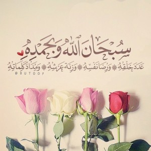 صور سبحان الله و بحمده