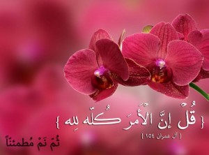 صور ايات قرانية عن الاطمئنان